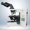 OLYMPUS BX40 Microscope Wanted