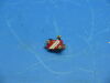 SIEMENS 1000124 Microswitch Rad/Fluoro Room