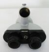 ZEISS Trinocular Body Microscope