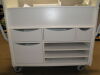 PHILIPS 4522-130-95950 SAM 200 MM REF. FANTTOM MRI Scanner