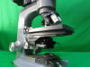 AMERICAN OPTICAL MICROSTAR Microscope