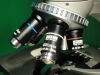 ZEISS NT Microscope