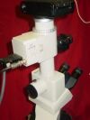 NIKON Labophot 2 Tri Microscope