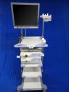 OLYMPUS EVIS LUCERA 260 System