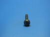 SIEMENS 3835613 Eccentric Bolt with Bearing Rad Room