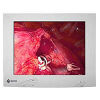 EIZO ES150 Display Monitor