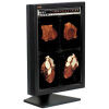WIDE IF2103CP Display Monitor