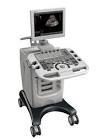 CHISON Ivis30 Ultrasound - Shared Service