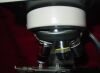 NIKON  Microscope