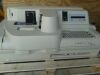 SIEMENS Immulite 1000