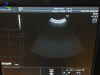 GE RAB2-5-D Ultrasound Transducer