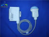 SIEMENS C5F1 Ultrasound Transducer