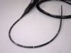 OLYMPUS BF-3C40 Bronchoscope