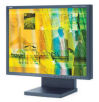 NEC LCD1990SXIBK Display Monitor