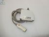 SIEMENS/ACUSON P4-2 X300 Ultrasound Transducer