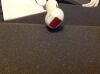 PHILIPS X7-2 Ultrasound Transducer