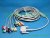 PANSWMED EKG-10002 ten leads cable SPO2 Probe