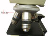 OLYMPUS CHBS Microscope