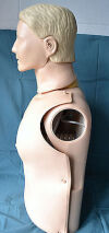 LAERDAL 31002601 Resusci Anne   Torso SkillReporter Manikin