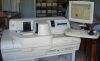 SIEMENS Immulite 1000