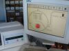 SIEMENS Immulite 1000
