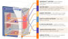 ENTHERMICS DC-250 Blanket / Solution Warmer