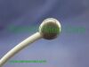 PANSWMED PTP10007 temperature probe SPO2 Probe