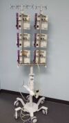 4004 IV Poles