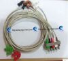 PHILIPS M1623A  Adult Shielded 5-Lead Set,Grabbers,Safety,AAMI SPO2 Probe