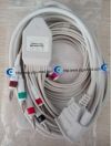 PHILIPS  989803175891  10-Lead Patient Cable IEC 3+3+4  SPO2 Probe
