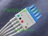 PANSWMED EKG10026I ten leads ECG trunk SPO2 Probe