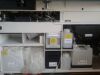 SIEMENS Immulite 2000 XPi immunoassay