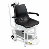DETECTO Digital Chair Scale