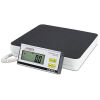 DETECTO DR400C Scale