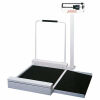 DETECTO N/A Scale
