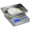DETECTO WPS12DT Scale