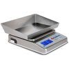 DETECTO WPS12DT Scale