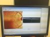 HEIDELBERG ENGINEERING Spectralis OCT