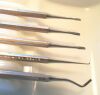 SUTER DENT set of 5 stainless Ferrier