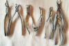 WHITE 7 piece set Dental Instrument Dental Extractor Forcep Plier