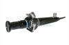OLYMPUS LF-GP Bronchoscope