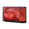 SONY LMDX310MT Display Monitor