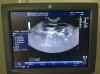 GE E8C Ultrasound Transducer