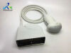 PHILIPS 3D6-2 IE33 Ultrasound Transducer