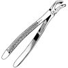SKLAR N/A Extracting Forceps