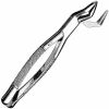 SKLAR N/A Extracting Forceps