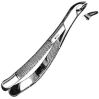 SKLAR N/A Extracting Forceps