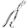 SKLAR #10H Extracting Forceps