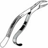SKLAR N/A Extracting Forceps