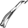 SKLAR 151S Extracting Forceps